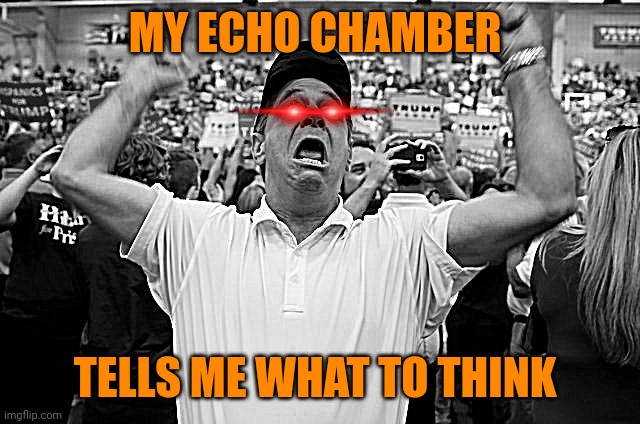 Trump Supporter Triggered | MY ECHO CHAMBER TELLS ME WHAT TO THINK | image tagged in trump supporter triggered | made w/ Imgflip meme maker