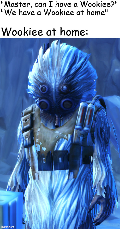 Worst Warrior companion | "Master, can I have a Wookiee?"
"We have a Wookiee at home"; Wookiee at home: | image tagged in star wars the old republic,broonmark,wookiee,sith lord | made w/ Imgflip meme maker