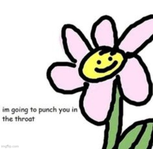 im going to punch you in the throat | image tagged in im going to punch you in the throat | made w/ Imgflip meme maker