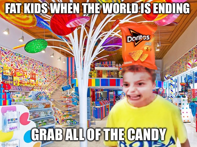 Fat kid | FAT KIDS WHEN THE WORLD IS ENDING; GRAB ALL OF THE CANDY | image tagged in fat kid | made w/ Imgflip meme maker