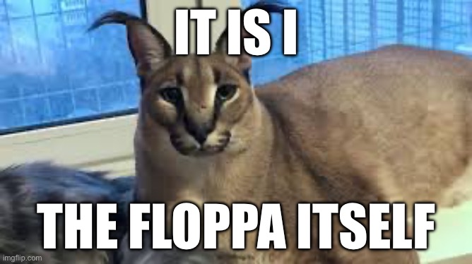 The floppa | IT IS I; THE FLOPPA ITSELF | image tagged in floppa | made w/ Imgflip meme maker
