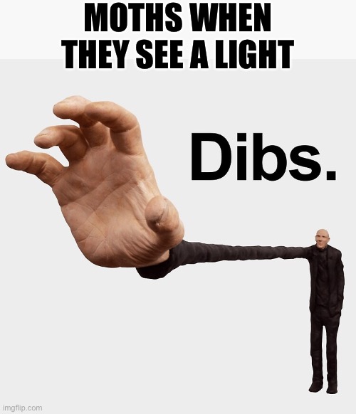 Moths | MOTHS WHEN THEY SEE A LIGHT | image tagged in dibs,moth,light | made w/ Imgflip meme maker