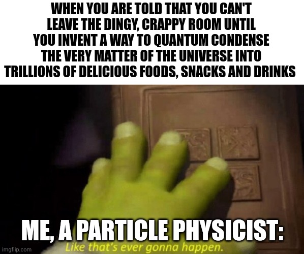 Srsly, I'm not a fairy godmother! | WHEN YOU ARE TOLD THAT YOU CAN'T LEAVE THE DINGY, CRAPPY ROOM UNTIL YOU INVENT A WAY TO QUANTUM CONDENSE THE VERY MATTER OF THE UNIVERSE INTO TRILLIONS OF DELICIOUS FOODS, SNACKS AND DRINKS; ME, A PARTICLE PHYSICIST: | image tagged in like that's ever gonna happen | made w/ Imgflip meme maker