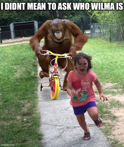 Orangutan chasing girl on a tricycle | I DIDNT MEAN TO ASK WHO WILMA IS | image tagged in orangutan chasing girl on a tricycle | made w/ Imgflip meme maker