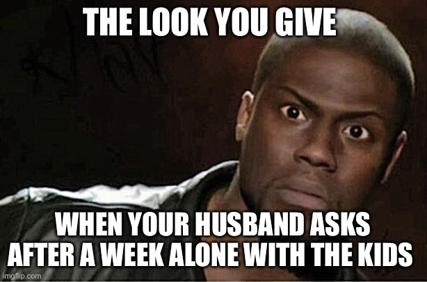 Kevin Hart Meme | THE LOOK YOU GIVE; WHEN YOUR HUSBAND ASKS AFTER A WEEK ALONE WITH THE KIDS | image tagged in memes,kevin hart | made w/ Imgflip meme maker