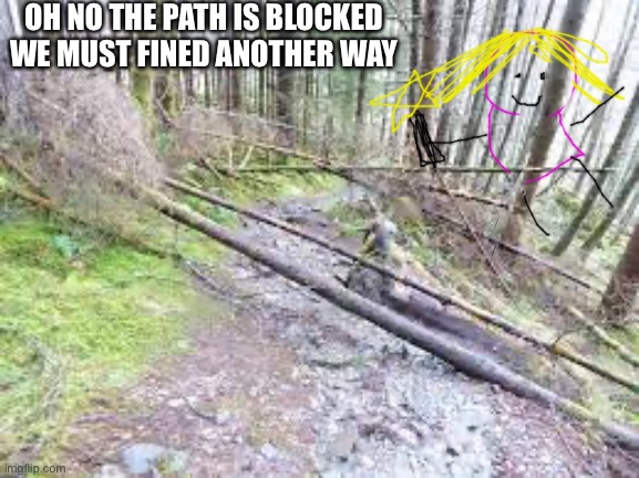 Video games be like | OH NO THE PATH IS BLOCKED WE MUST FINED ANOTHER WAY | image tagged in annoying | made w/ Imgflip meme maker