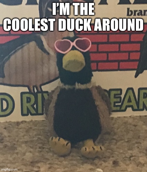 Dis duck is coool | I’M THE COOLEST DUCK AROUND | made w/ Imgflip meme maker