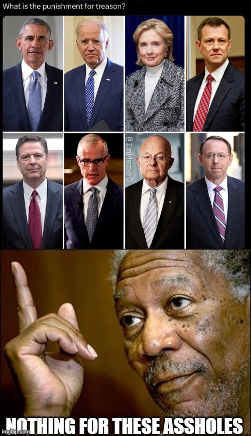 treason is these | NOTHING FOR THESE ASSHOLES | image tagged in this morgan freeman | made w/ Imgflip meme maker