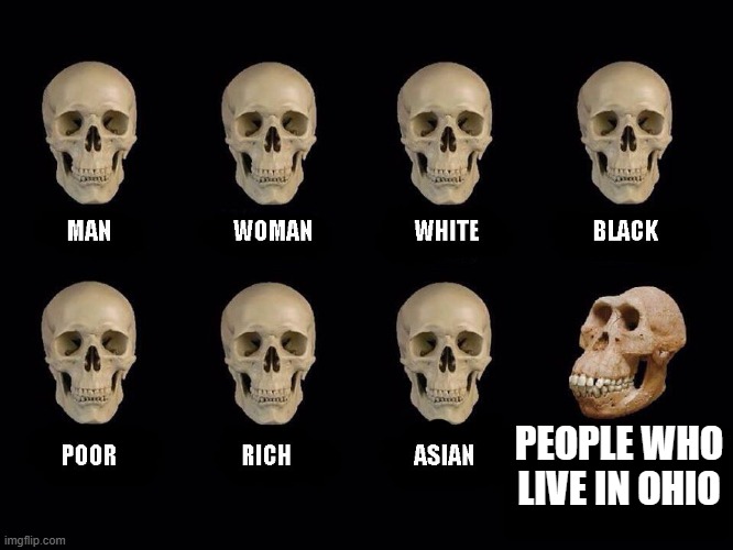 Ohioans be like | PEOPLE WHO LIVE IN OHIO | image tagged in empty skulls of truth | made w/ Imgflip meme maker