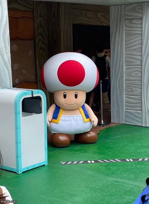 cock and balls | image tagged in cock and balls | made w/ Imgflip meme maker