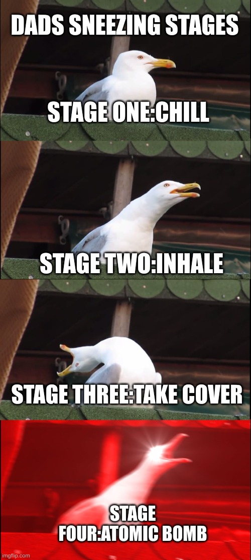 Inhaling Seagull Meme | DADS SNEEZING STAGES; STAGE ONE:CHILL; STAGE TWO:INHALE; STAGE THREE:TAKE COVER; STAGE FOUR:ATOMIC BOMB | image tagged in memes,inhaling seagull | made w/ Imgflip meme maker
