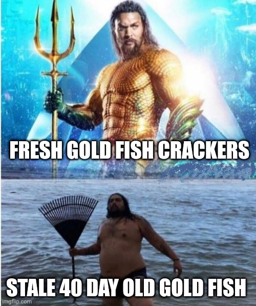 Stale gold fish | FRESH GOLD FISH CRACKERS; STALE 40 DAY OLD GOLD FISH | image tagged in guitar amps - tube vs modeling | made w/ Imgflip meme maker