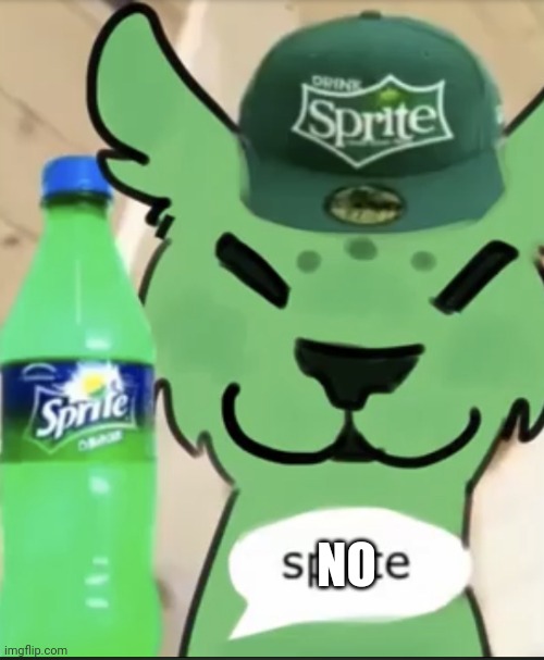 spirte | NO | image tagged in spirte | made w/ Imgflip meme maker