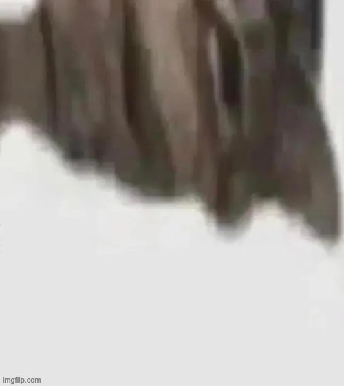 imma do it right | made w/ Imgflip meme maker