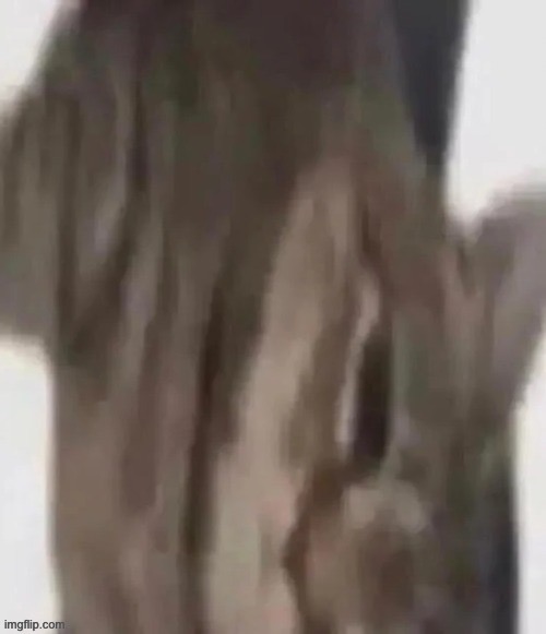 piss | made w/ Imgflip meme maker