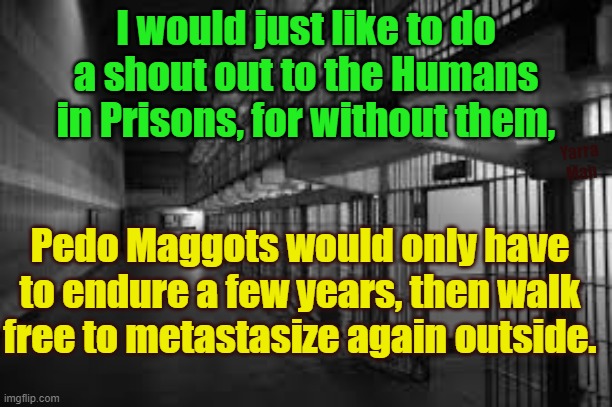 Pedo Maggots in Prison | I would just like to do a shout out to the Humans in Prisons, for without them, Yarra Man; Pedo Maggots would only have to endure a few years, then walk free to metastasize again outside. | image tagged in pedophiles,predators,cancer,scum,rock spiders,filth | made w/ Imgflip meme maker