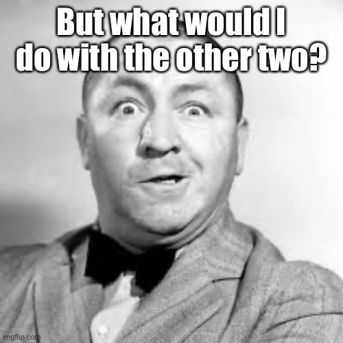 curly three stooges | But what would I do with the other two? | image tagged in curly three stooges | made w/ Imgflip meme maker