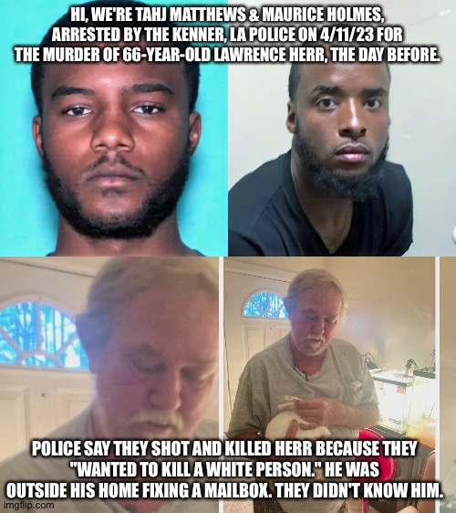 I'm thinking this one will not make Fox or Breitbart... | HI, WE'RE TAHJ MATTHEWS & MAURICE HOLMES, ARRESTED BY THE KENNER, LA POLICE ON 4/11/23 FOR THE MURDER OF 66-YEAR-OLD LAWRENCE HERR, THE DAY BEFORE. POLICE SAY THEY SHOT AND KILLED HERR BECAUSE THEY
"WANTED TO KILL A WHITE PERSON." HE WAS OUTSIDE HIS HOME FIXING A MAILBOX. THEY DIDN'T KNOW HIM. | image tagged in meme | made w/ Imgflip meme maker
