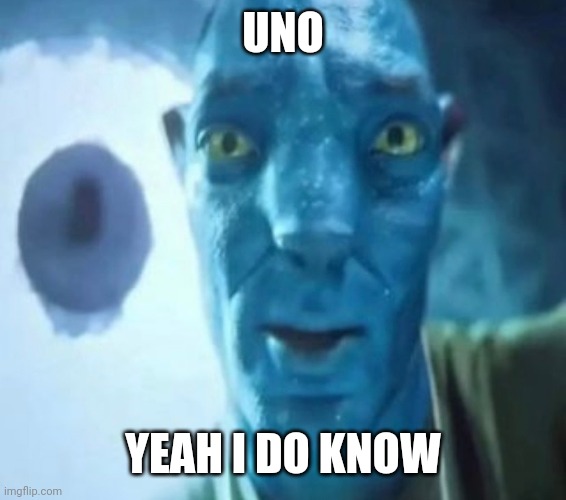 The avatar guy is hot ? | UNO; YEAH I DO KNOW | image tagged in avatar guy | made w/ Imgflip meme maker