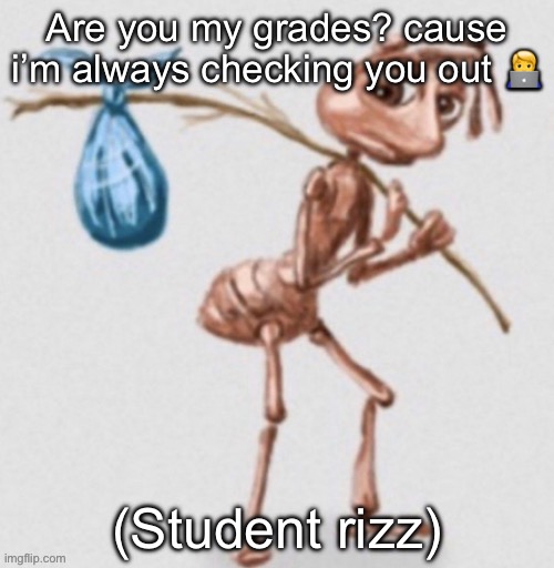 Real | Are you my grades? cause i’m always checking you out 🧑‍💻; (Student rizz) | image tagged in ant leaving | made w/ Imgflip meme maker