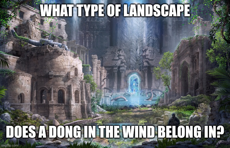Dong in the wind | WHAT TYPE OF LANDSCAPE; DOES A DONG IN THE WIND BELONG IN? | image tagged in philosophy,purpose,freedom,wind,adventure | made w/ Imgflip meme maker