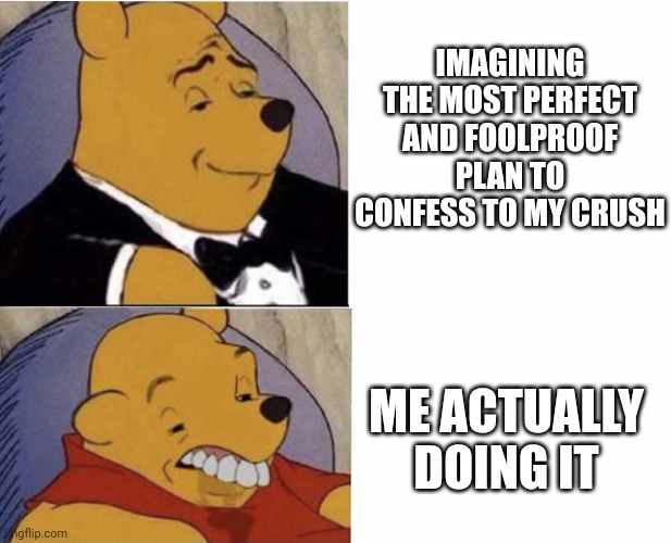 I have spoken. | IMAGINING THE MOST PERFECT AND FOOLPROOF PLAN TO CONFESS TO MY CRUSH; ME ACTUALLY DOING IT | image tagged in funny,relatable,confession,memes | made w/ Imgflip meme maker
