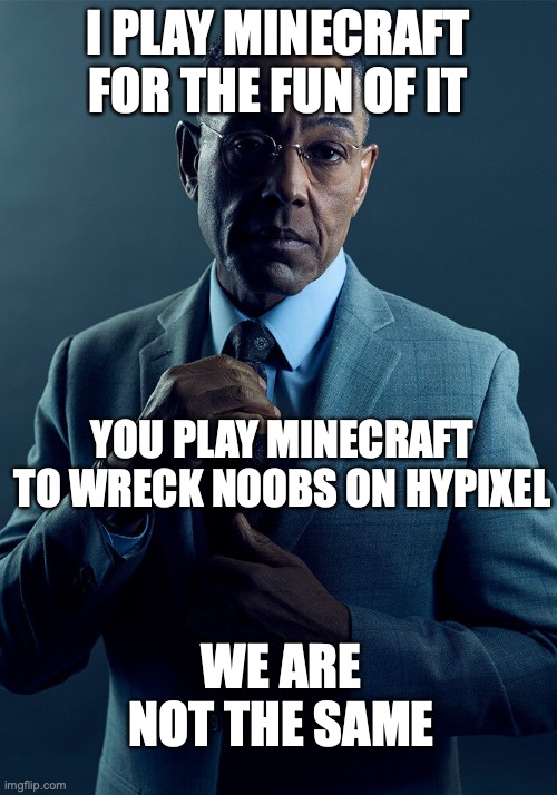 Gus Fring we are not the same | I PLAY MINECRAFT FOR THE FUN OF IT; YOU PLAY MINECRAFT TO WRECK NOOBS ON HYPIXEL; WE ARE NOT THE SAME | image tagged in gus fring we are not the same | made w/ Imgflip meme maker