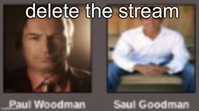 paul vs saul | delete the stream | image tagged in paul vs saul | made w/ Imgflip meme maker