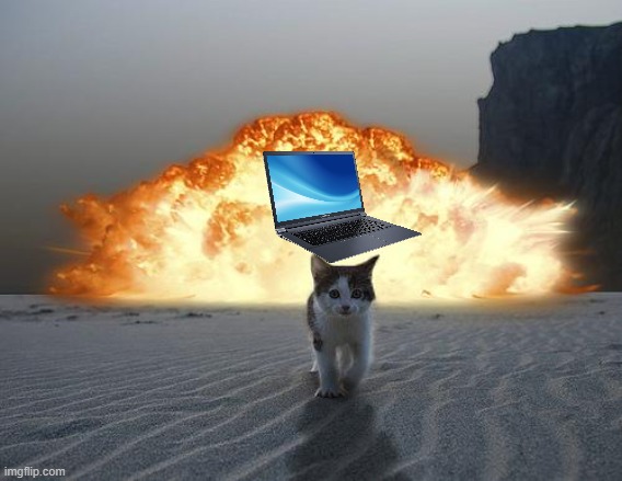 cat explosion | image tagged in cat explosion | made w/ Imgflip meme maker