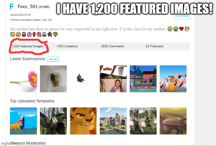 Foxy_501 profile | I HAVE 1,200 FEATURED IMAGES! | image tagged in foxy_501 profile | made w/ Imgflip meme maker