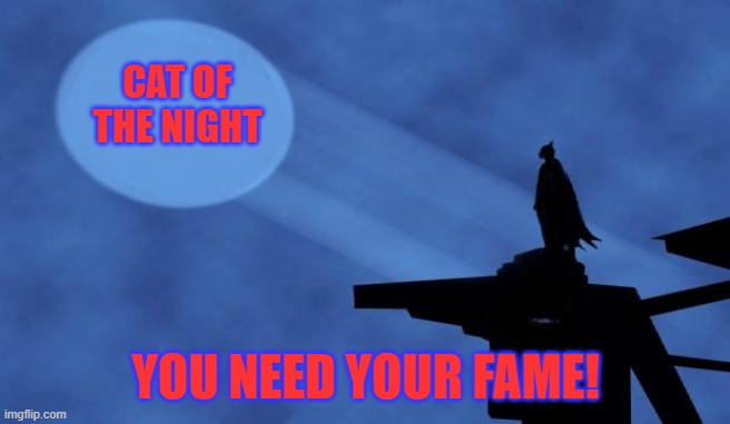 batman signal | CAT OF THE NIGHT; YOU NEED YOUR FAME! | image tagged in batman signal | made w/ Imgflip meme maker