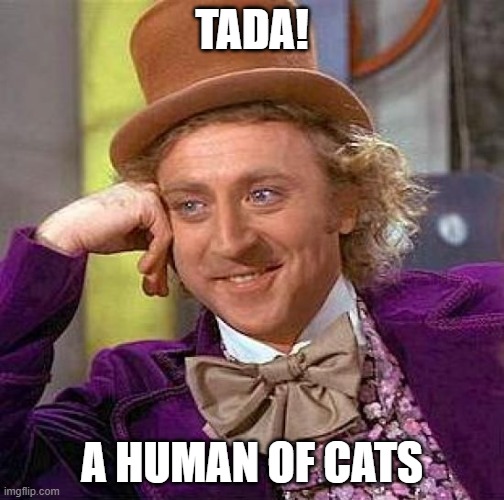 Creepy Condescending Wonka Meme | TADA! A HUMAN OF CATS | image tagged in memes,creepy condescending wonka | made w/ Imgflip meme maker
