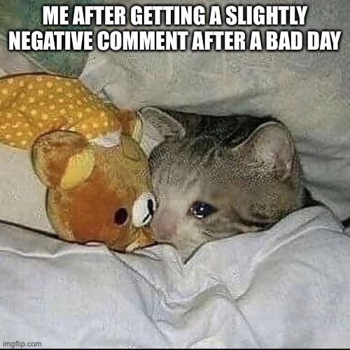 Sad | ME AFTER GETTING A SLIGHTLY NEGATIVE COMMENT AFTER A BAD DAY | image tagged in sad cat,cat meme,cat | made w/ Imgflip meme maker