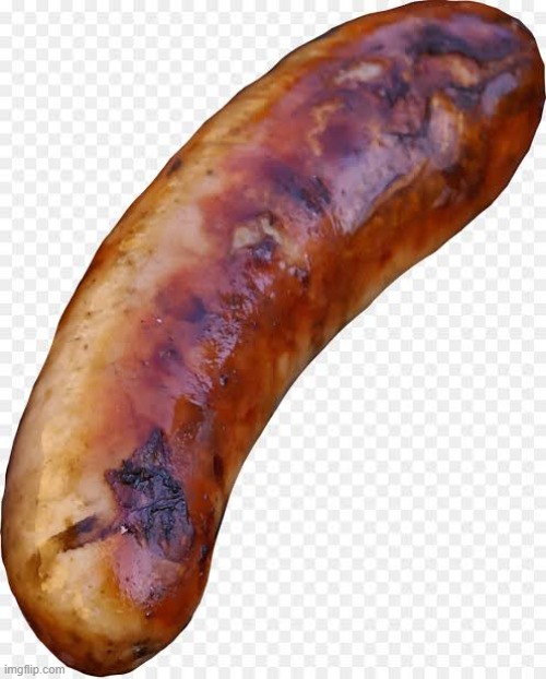 Sausage | image tagged in sausage | made w/ Imgflip meme maker