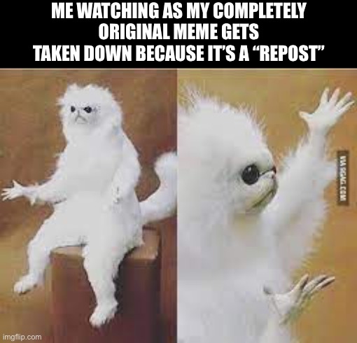 Why | ME WATCHING AS MY COMPLETELY ORIGINAL MEME GETS TAKEN DOWN BECAUSE IT’S A “REPOST” | image tagged in why,confused cat | made w/ Imgflip meme maker