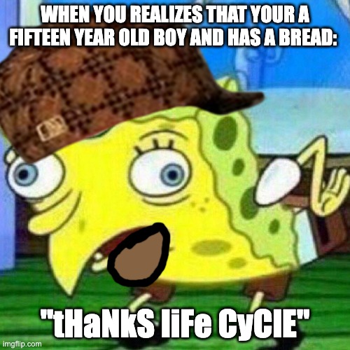 Thanks, life cycle | WHEN YOU REALIZES THAT YOUR A FIFTEEN YEAR OLD BOY AND HAS A BREAD:; "tHaNkS liFe CyClE" | image tagged in triggerpaul | made w/ Imgflip meme maker