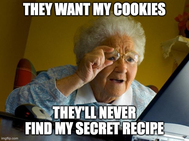 two definitions | THEY WANT MY COOKIES; THEY'LL NEVER FIND MY SECRET RECIPE | image tagged in old lady at computer finds the internet | made w/ Imgflip meme maker