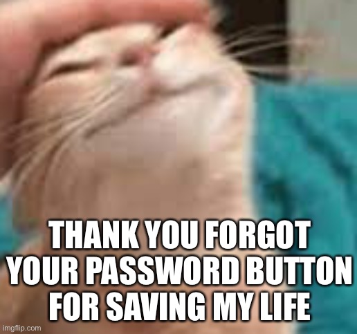 Yessss | THANK YOU FORGOT YOUR PASSWORD BUTTON FOR SAVING MY LIFE | image tagged in cat | made w/ Imgflip meme maker
