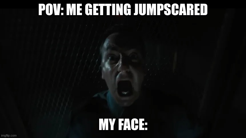 POV: ME GETTING JUMPSCARED; MY FACE: | made w/ Imgflip meme maker