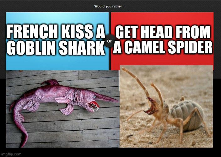 Honorable mention goes to the viper dogfish and spider crab :) | FRENCH KISS A
GOBLIN SHARK; GET HEAD FROM A CAMEL SPIDER | image tagged in would you rather | made w/ Imgflip meme maker