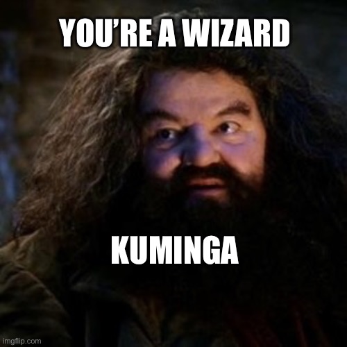 You're a wizard harry | YOU’RE A WIZARD; KUMINGA | image tagged in you're a wizard harry | made w/ Imgflip meme maker