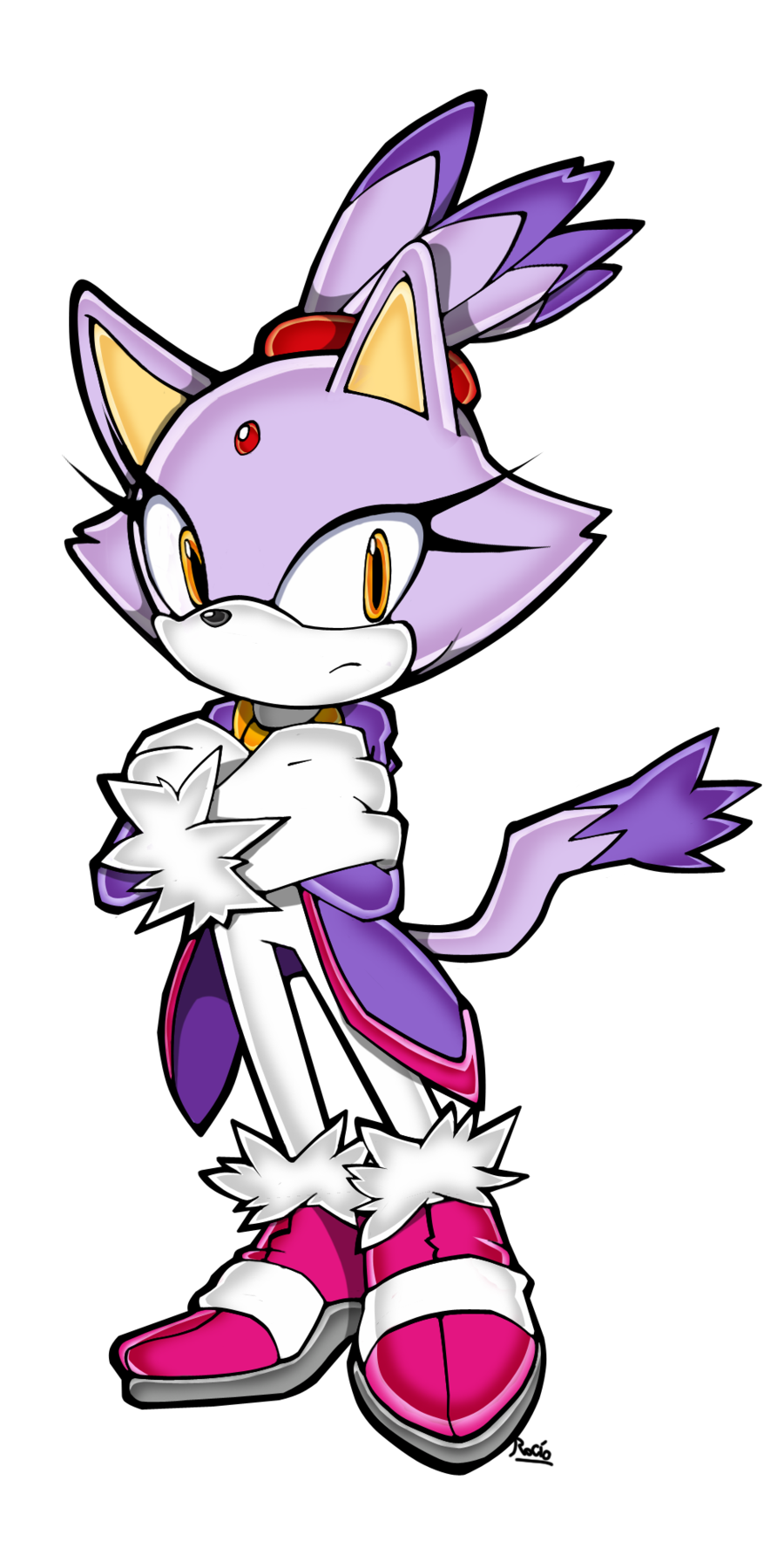 Blaze the cat Blank Meme Template