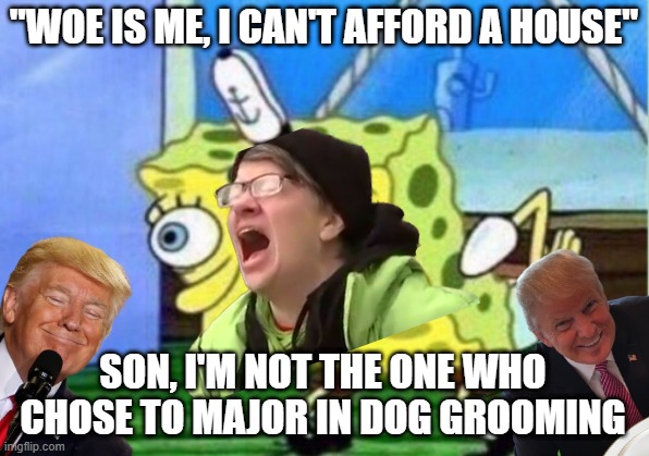 MILLENIAL LIB BOYS STAY ANGRY... MEANWHILE WE STAY WINNING | "WOE IS ME, I CAN'T AFFORD A HOUSE"; SON, I'M NOT THE ONE WHO CHOSE TO MAJOR IN DOG GROOMING | image tagged in liberal logic,liberal tears,millenials | made w/ Imgflip meme maker