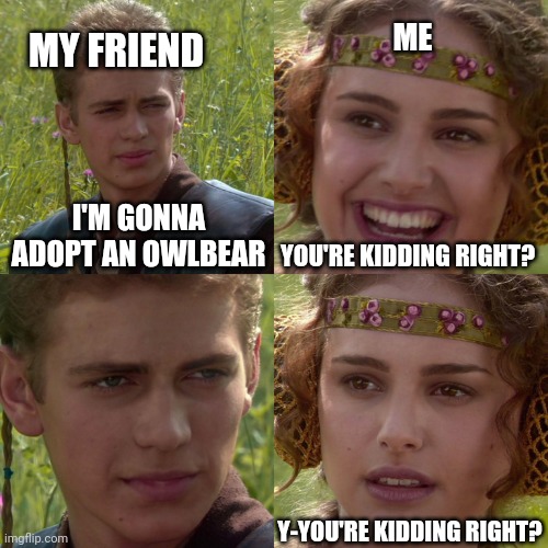 This actually happened in my last session | ME; MY FRIEND; I'M GONNA ADOPT AN OWLBEAR; YOU'RE KIDDING RIGHT? Y-YOU'RE KIDDING RIGHT? | image tagged in anakin padme 4 panel | made w/ Imgflip meme maker