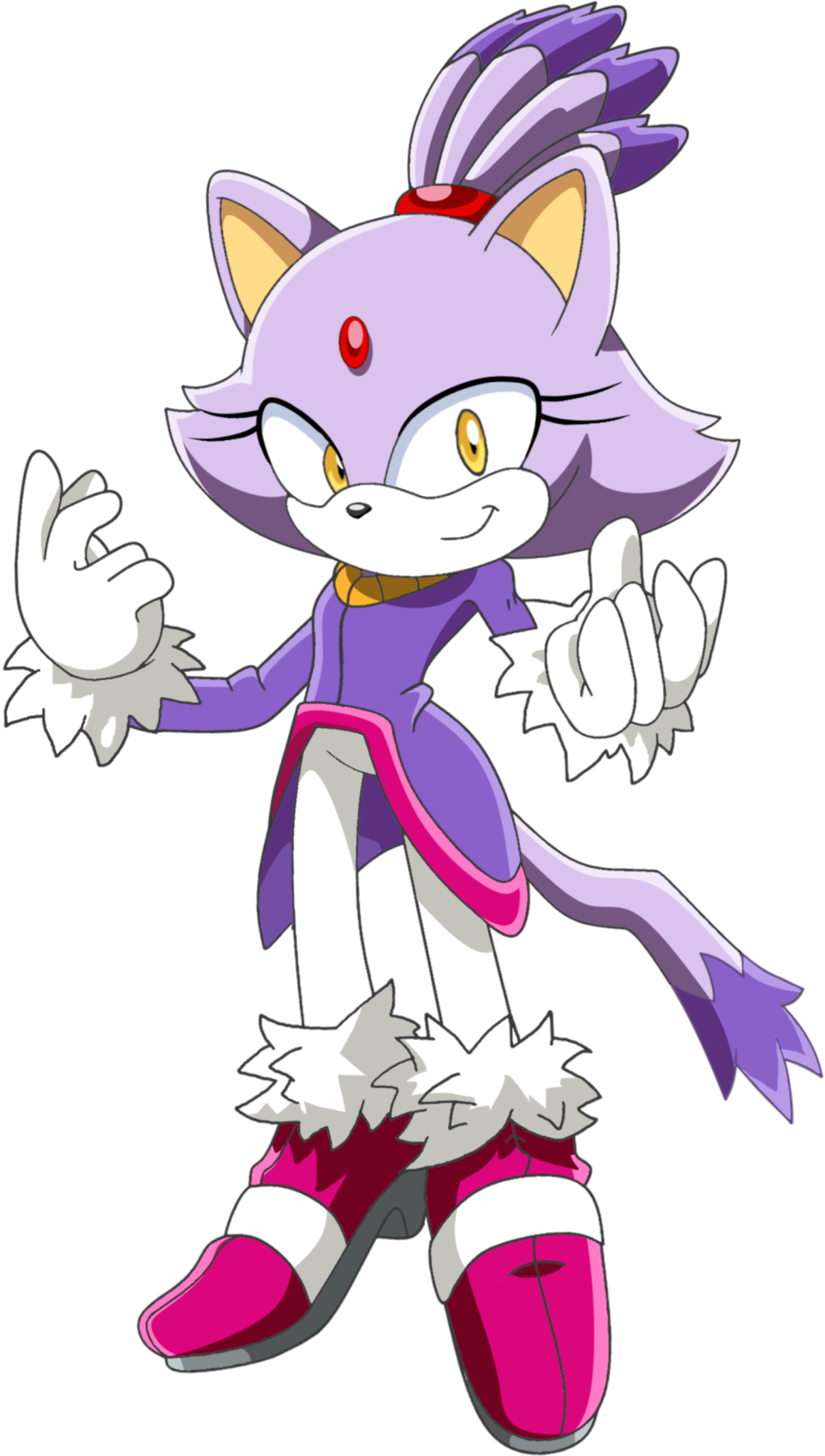 Blaze the cat Blank Meme Template