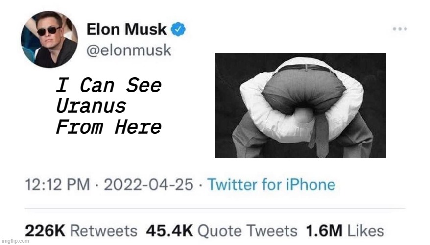 I Can See Uranus From Here | I Can See 
Uranus 
From Here | image tagged in elon musk buying company | made w/ Imgflip meme maker