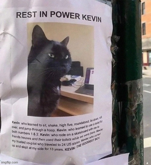 sharethelament | image tagged in sharethelament | made w/ Imgflip meme maker
