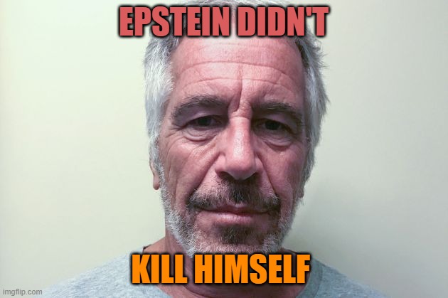 Epstein Didn't Kill Himself | EPSTEIN DIDN'T; KILL HIMSELF | image tagged in epstein | made w/ Imgflip meme maker