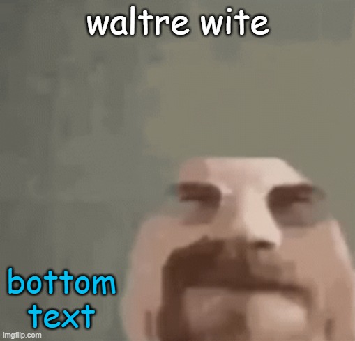 heisenburger | waltre wite; bottom text | image tagged in heisenburger | made w/ Imgflip meme maker