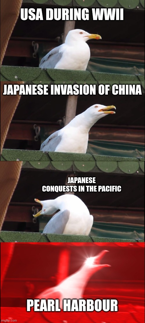 Inhaling Seagull Meme | USA DURING WWII; JAPANESE INVASION OF CHINA; JAPANESE CONQUESTS IN THE PACIFIC; PEARL HARBOUR | image tagged in memes,inhaling seagull | made w/ Imgflip meme maker